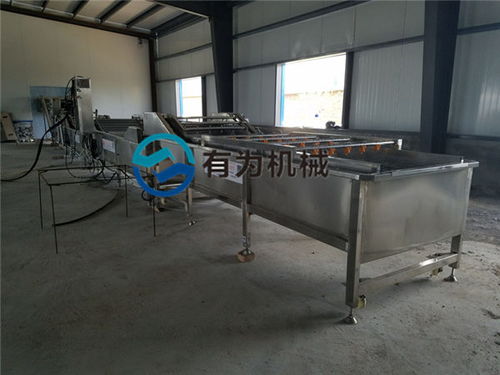 諸城有為公司 深耕蘋果清洗設(shè)備領(lǐng)域，服務(wù)海南與家用市場